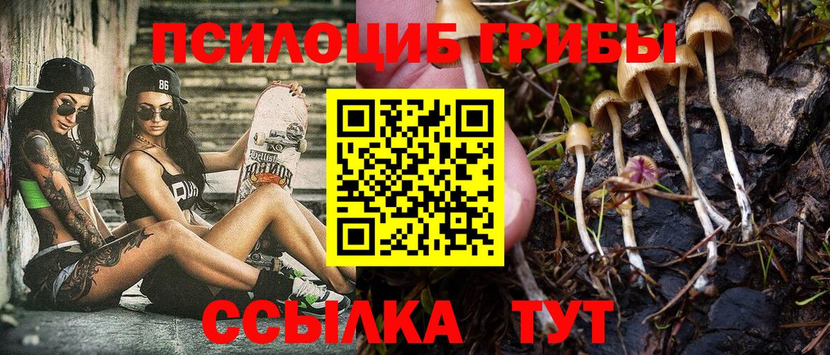 купить закладку  Галлюциногенные грибы мицелий  Вход с VPN  Галлюциногенные грибы Psilocybine cubensis  Тула 